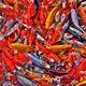Image for article titled Shooting Challenge Free For All Gallery 1